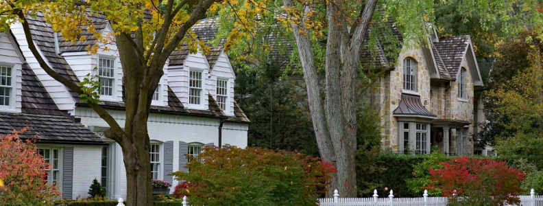 How to Detect and Prevent Tree Roots in Your Sewer Line